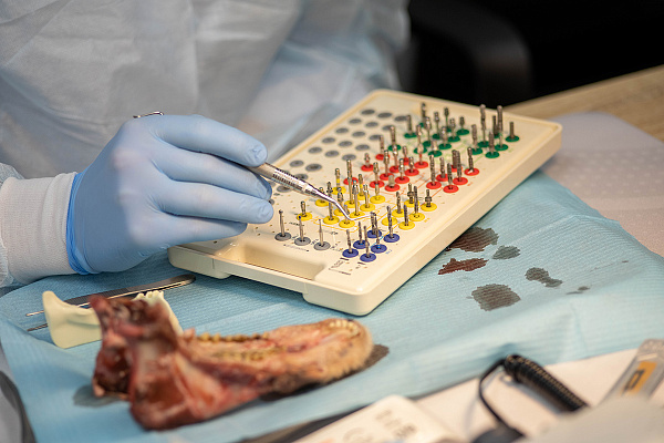 10 сентября Вольберг9.jpg