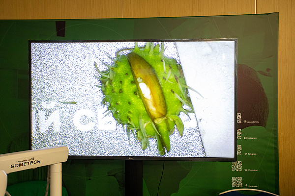 12-13 июня OHI-S 25.jpg